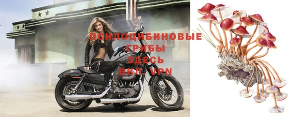первитин Осинники